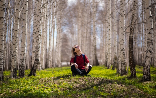 "And how old are you?" I asked the white birch tree